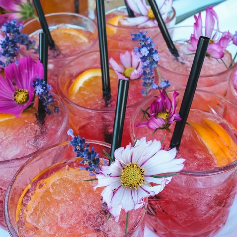 Kulinarik & Genuss in der Oberpfalz Mehrere rosa Cocktails mit Eis, Orangenscheiben und essbaren Blumen dekoriert